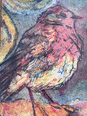ROBIN A5 Christmas Cards with envelopes x5