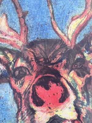 RUDOLPH A5 Christmas Cards with envelopes x5